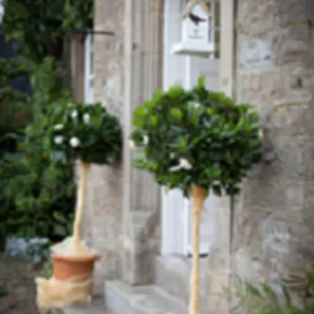 Bed & Breakfast Gingerfield Farm 4*