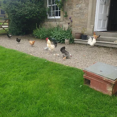 Gingerfield Farm Bed & Breakfast