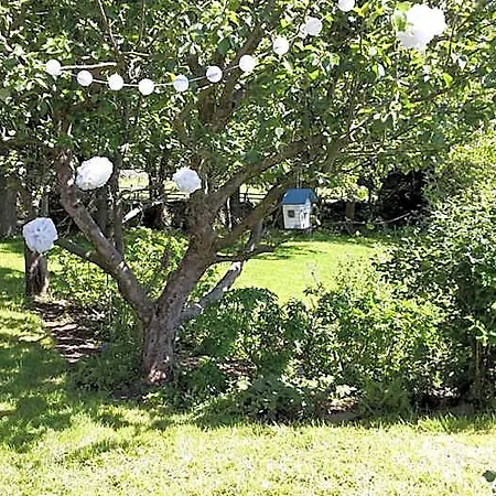 Alojamento de Acomodação e Pequeno-almoço Gingerfield Farm 4*