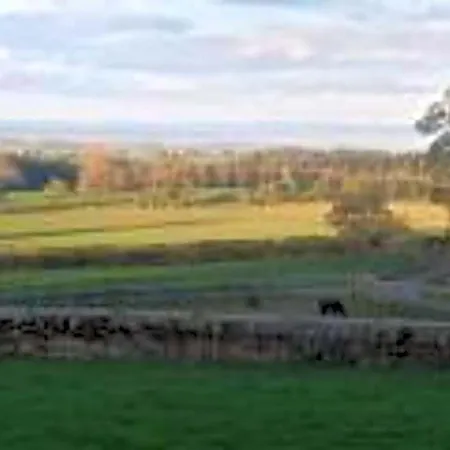 Gingerfield Farm