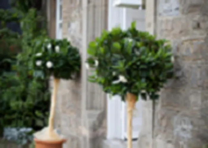 Bed & Breakfast Gingerfield Farm 4*