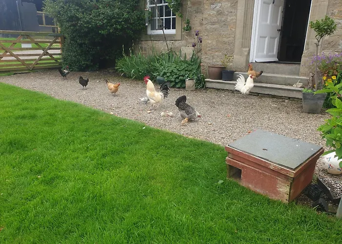 Gingerfield Farm Bed & Breakfast