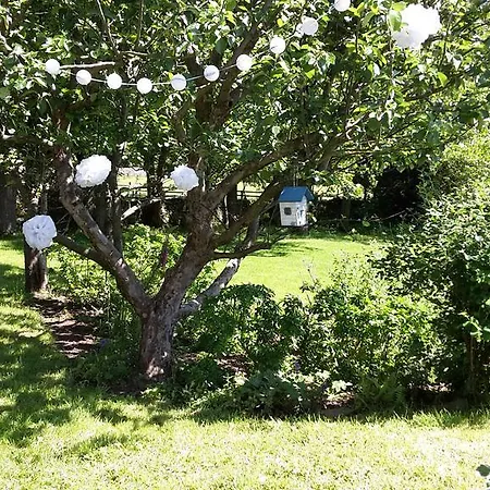 Gingerfield Farm Couette-café Richmond (North Yorkshire)